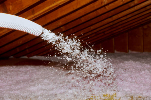 Professional Insulation Contractor in Coral Springs, FL