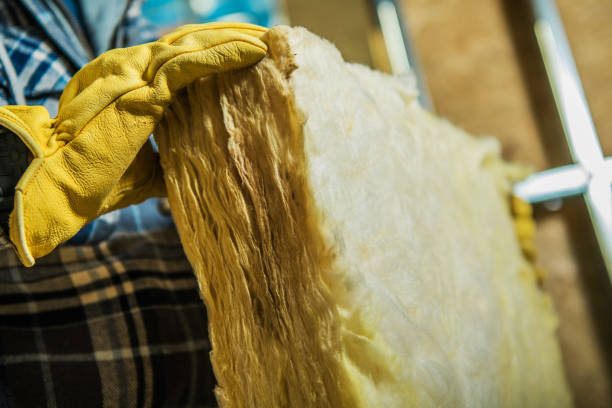 Best Geographic-Specific Insulation Services in Coral Springs, FL